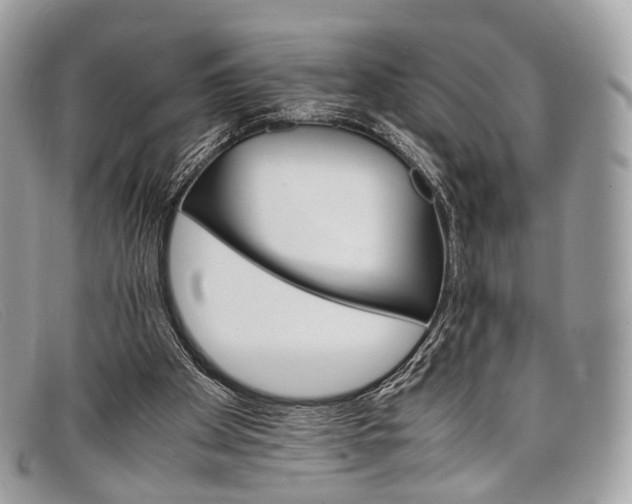 X0000098040105200804111356