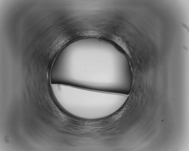 X0000098040109200804111356