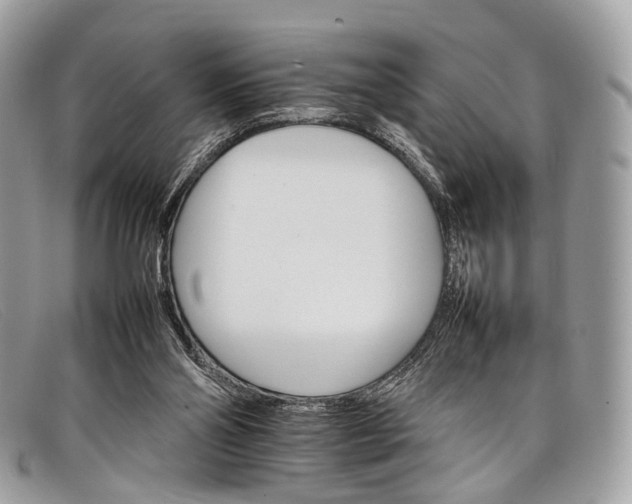 X0000098040110200804111356