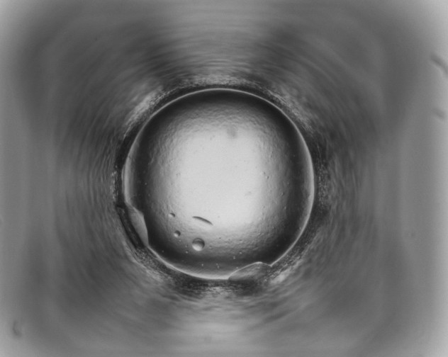 X0000098040111200804111356