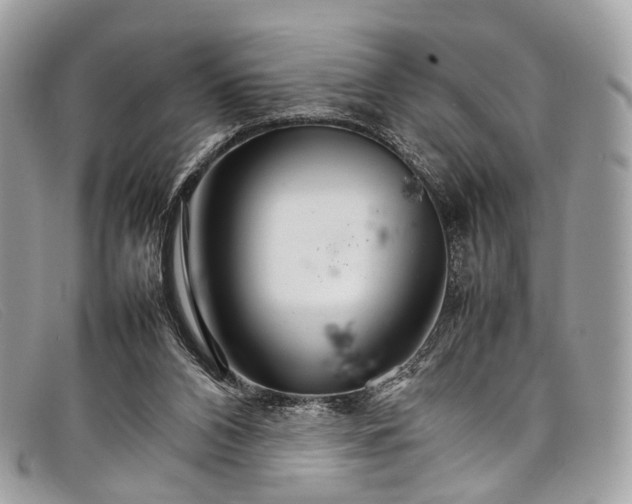 X0000098040112200804111356