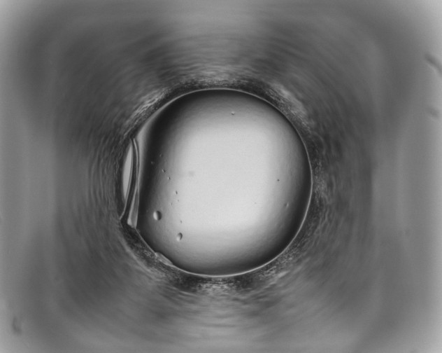 X0000098040115200804111356