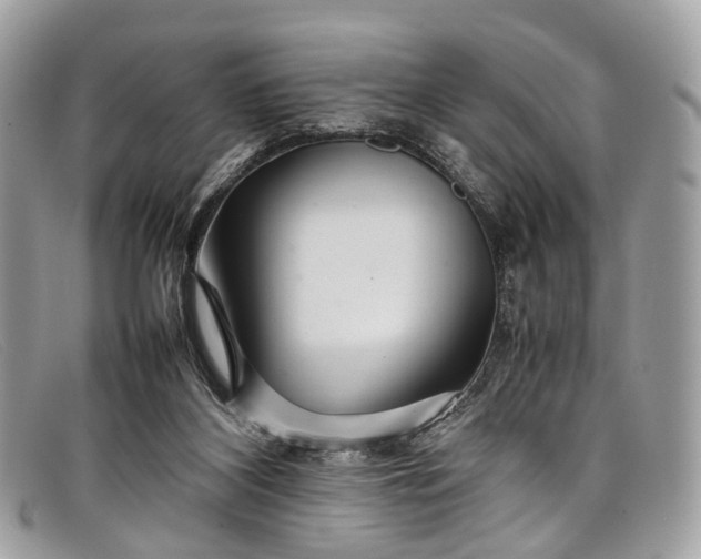 X0000098040116200804111356