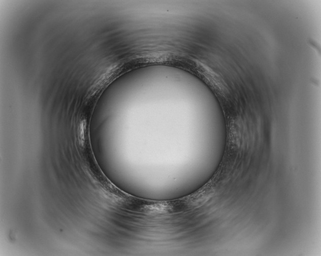 X0000098040118200804111356