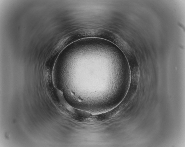 X0000098040119200804111356