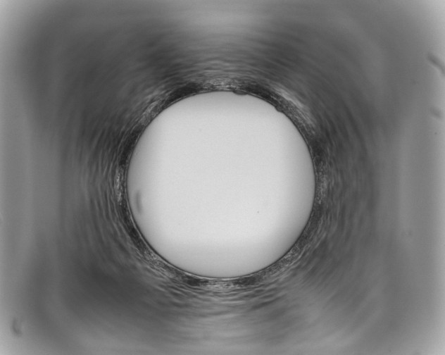 X0000098040121200804111356