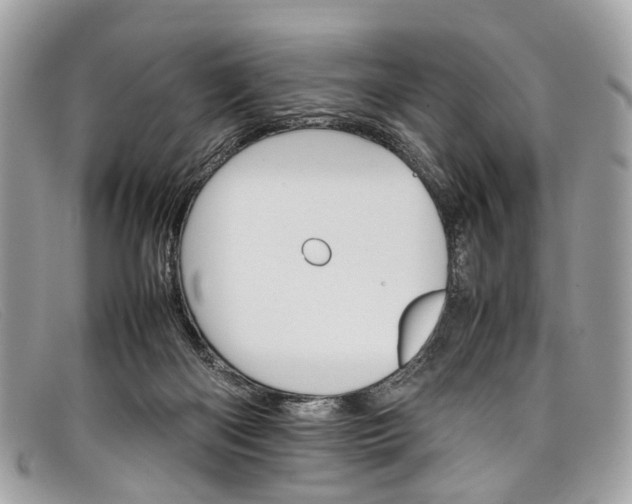 X0000098040122200804111356