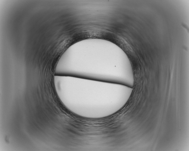 X0000098040123200804111356