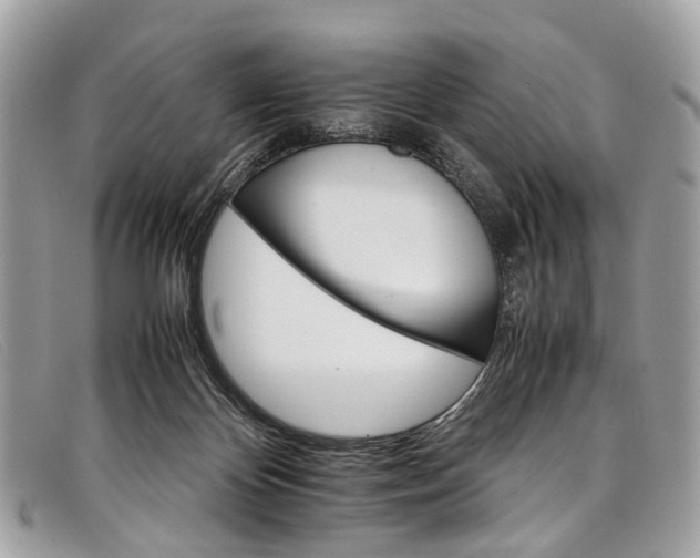 X0000098040124200804111356