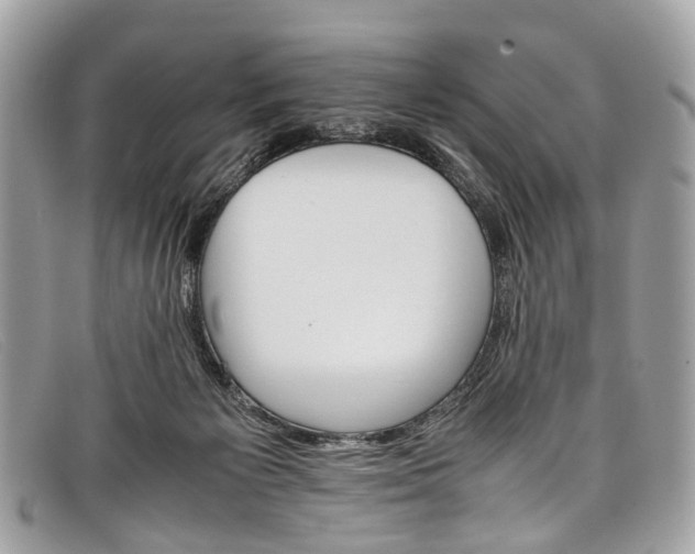 X0000098040125200804111356