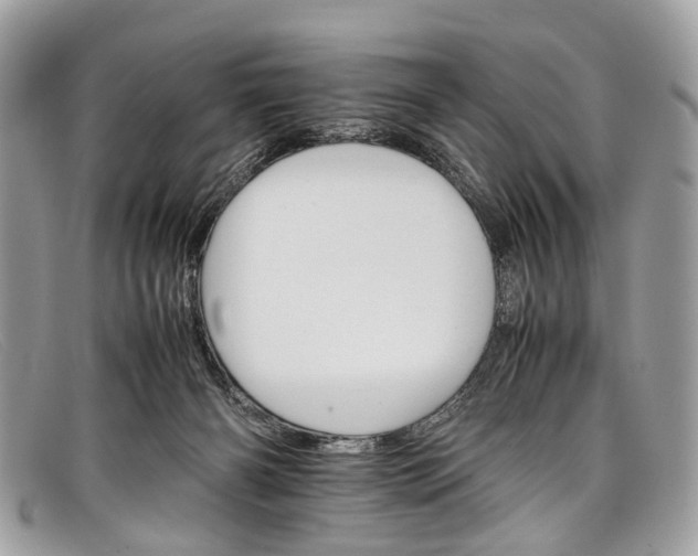 X0000098040126200804111355