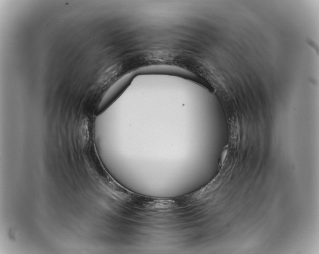 X0000098040128200804111355