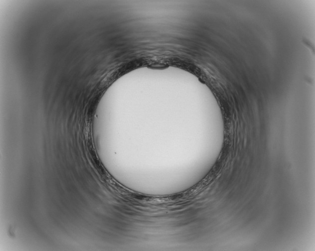 X0000098040129200804111355