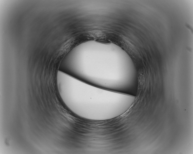 X0000098040132200804111355