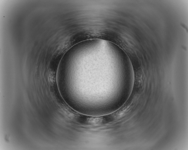 X0000098040135200804111355