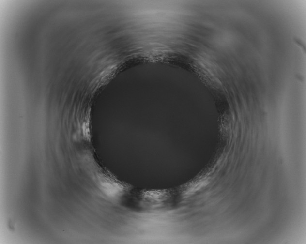 X0000098040139200804111355
