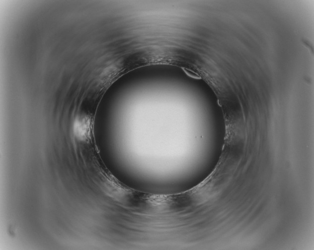 X0000098040142200804111355