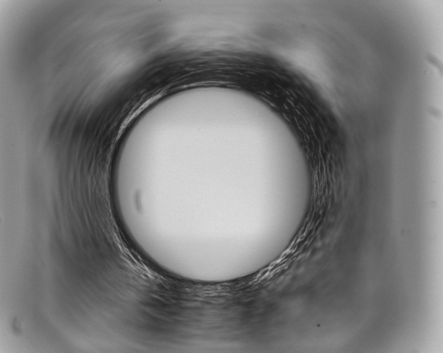 X0000098040146200804111355