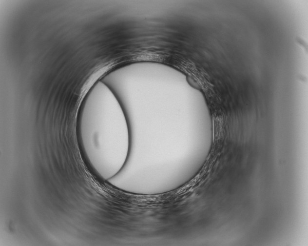 X0000098040147200804111355
