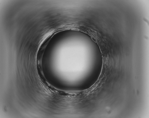 X0000098040148200804111355
