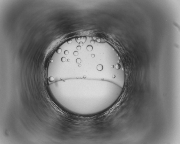 X0000098040149200804111355