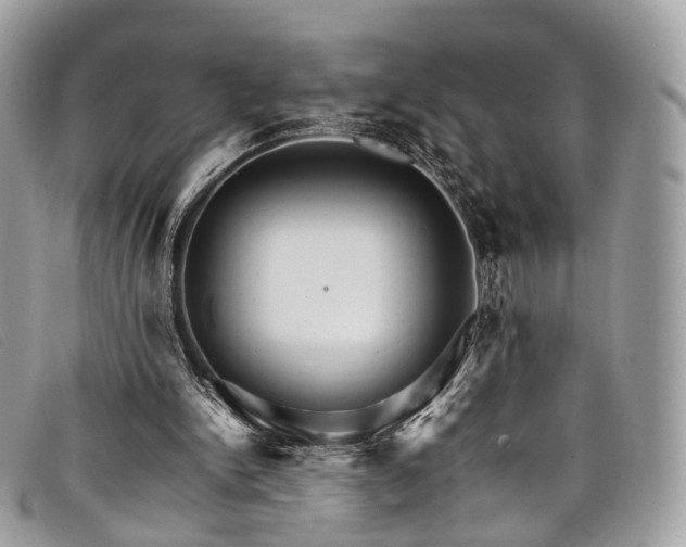 X0000098040150200804111355
