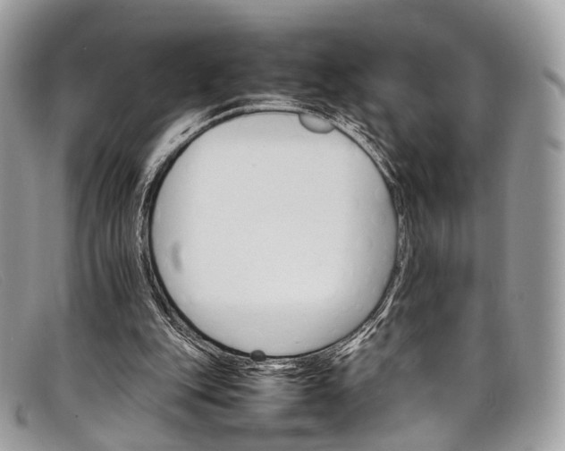 X0000098040151200804111355