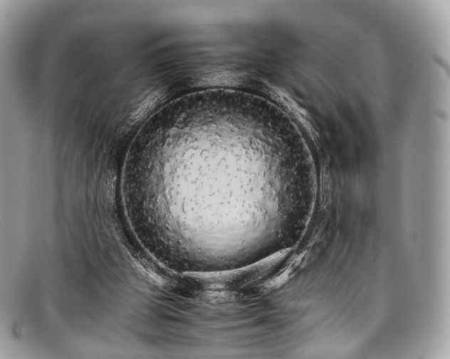 X0000098040153200804111355