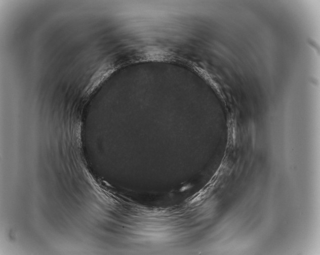 X0000098040154200804111355