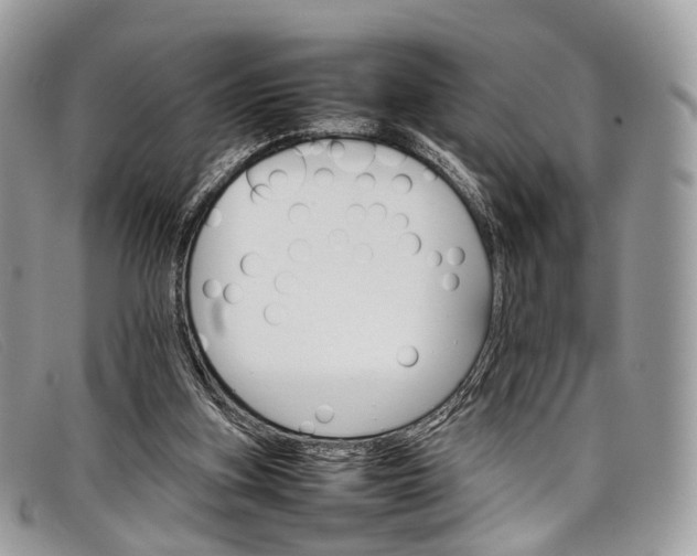 X0000098040155200804111355
