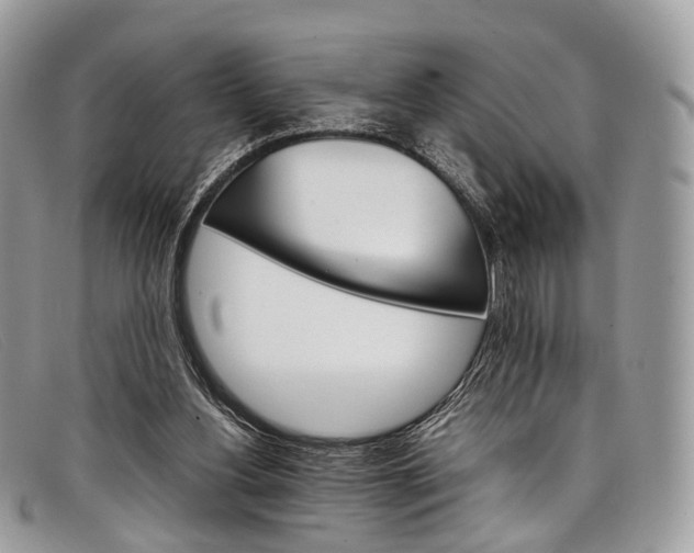 X0000098040156200804111355