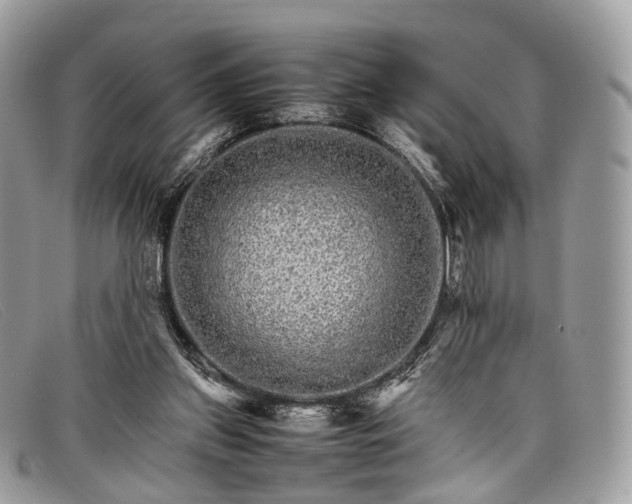 X0000098040157200804111355