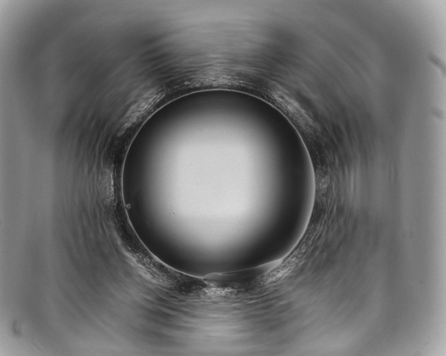 X0000098040158200804111355