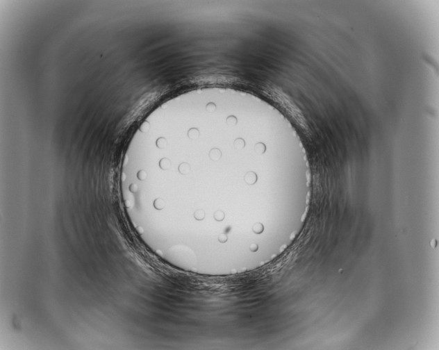 X0000098040159200804111355