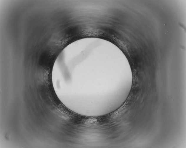 X0000098040162200804111355