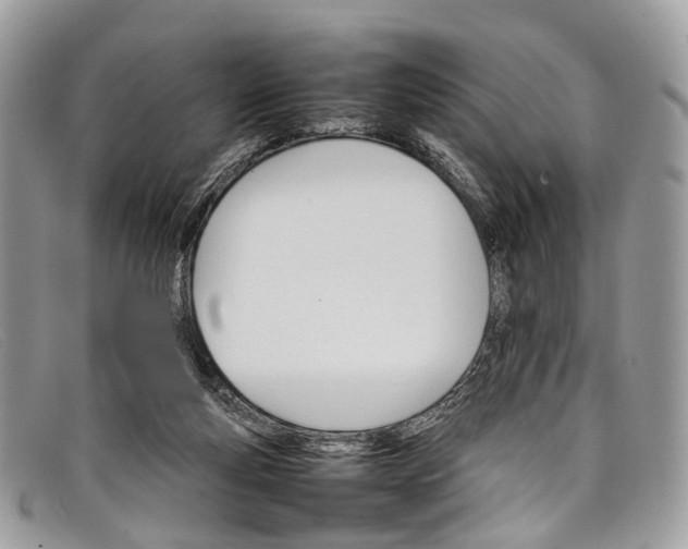 X0000098040163200804111355