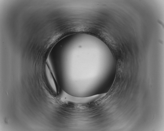 X0000098040164200804111355