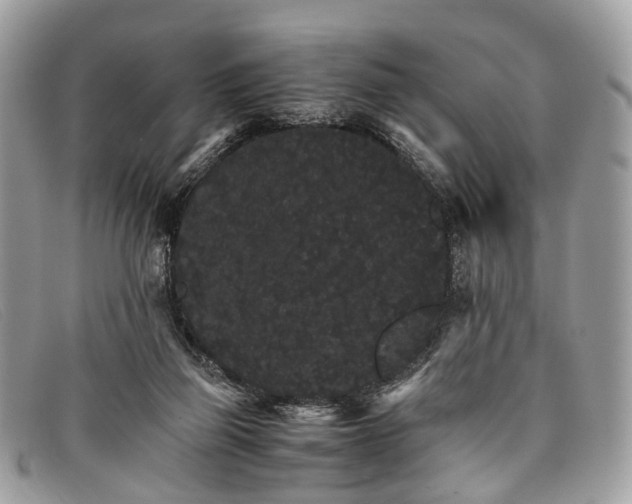 X0000098040165200804111355