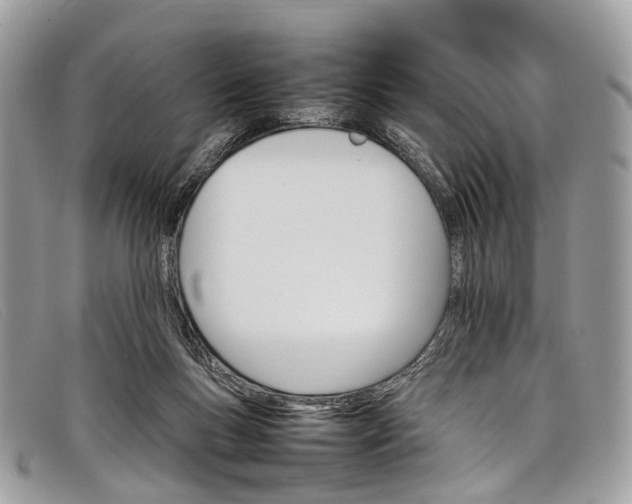 X0000098040167200804111355
