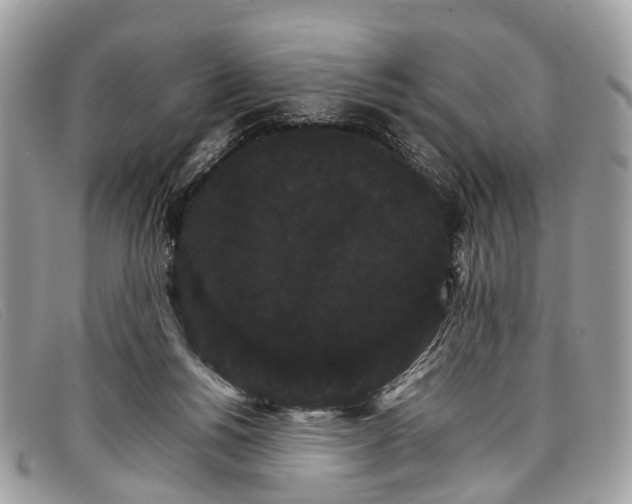 X0000098040168200804111355