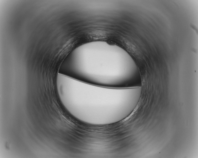 X0000098040170200804111355