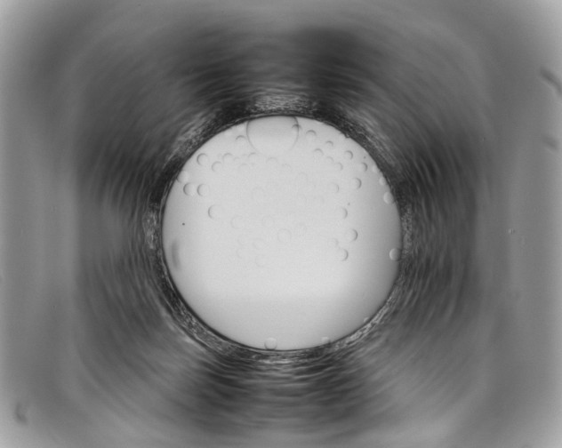 X0000098040171200804111355