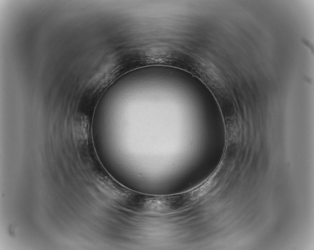 X0000098040174200804111355