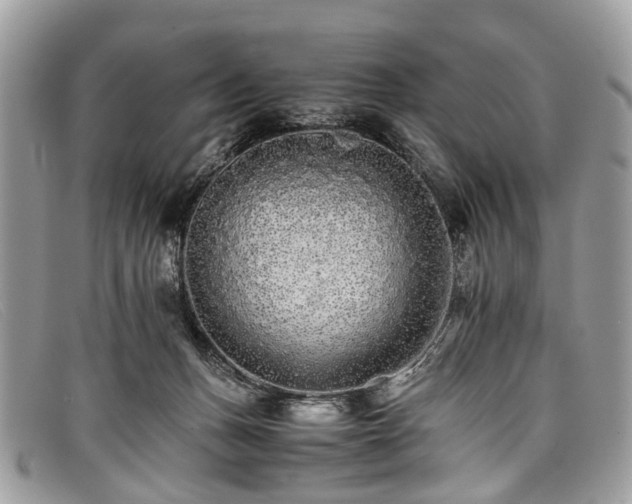 X0000098040175200804111355