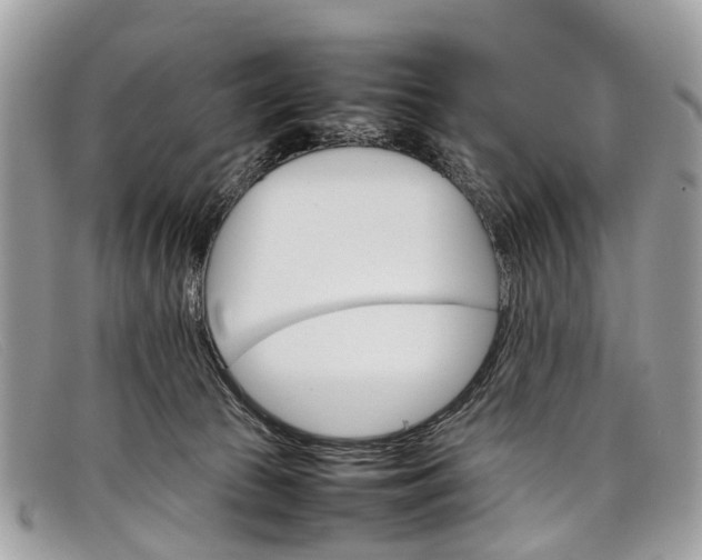 X0000098040177200804111355