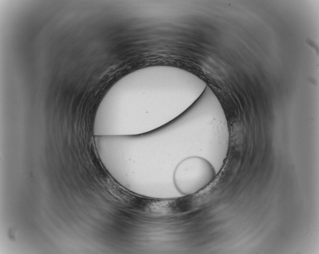 X0000098040178200804111355