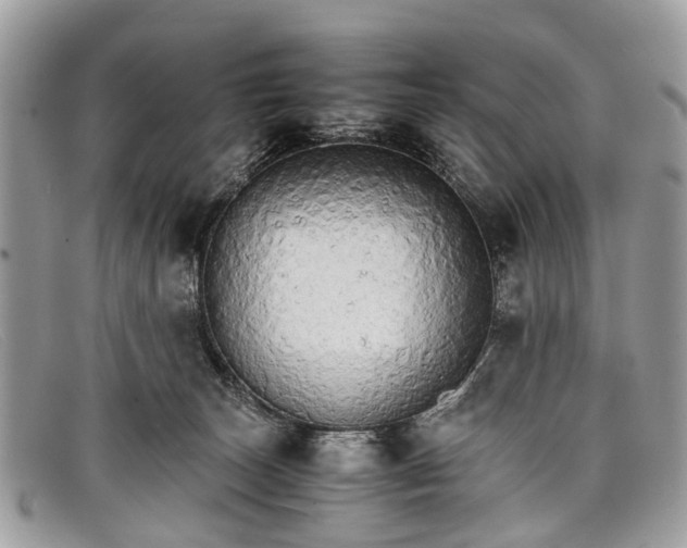 X0000098040179200804111355