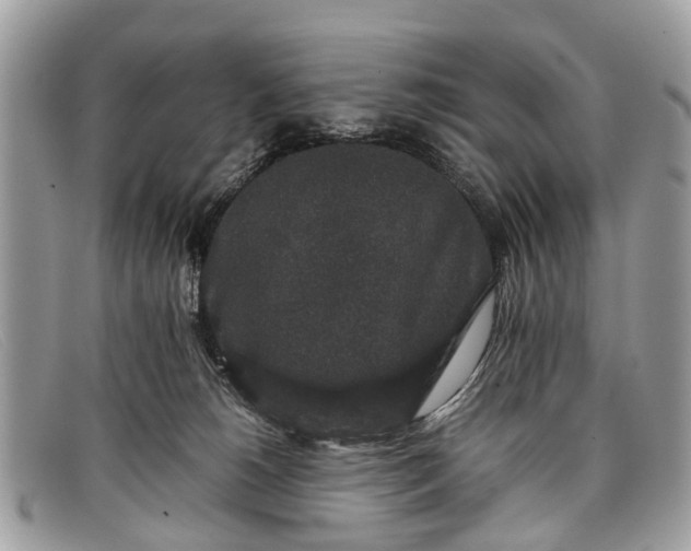 X0000098040180200804111355