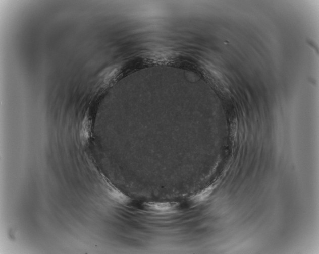 X0000098040181200804111355