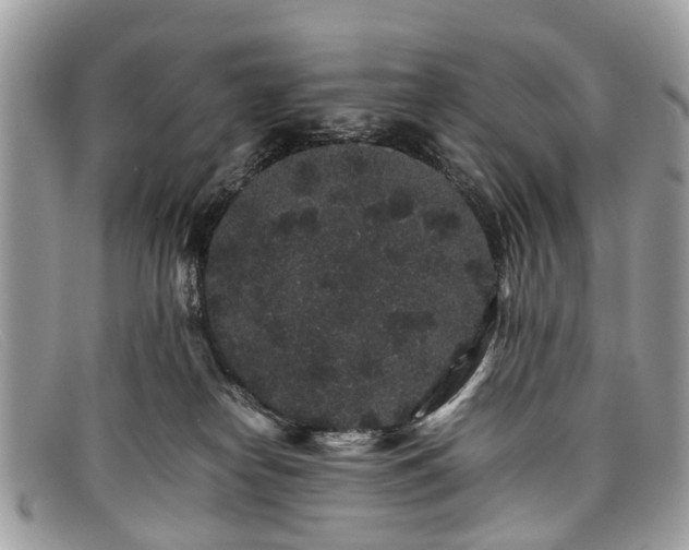 X0000098040182200804111355